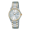 swatch